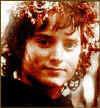 frodo.jpg (18002 bytes)