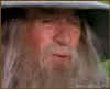 gandalf.jpg (10421 bytes)